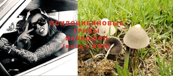 гидра Каменка