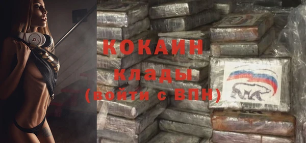 гидра Каменка