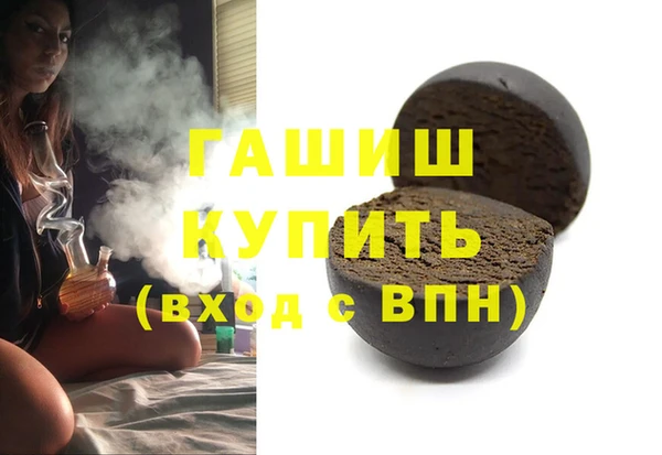 гидра Каменка