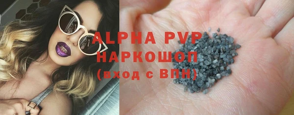 гидра Каменка