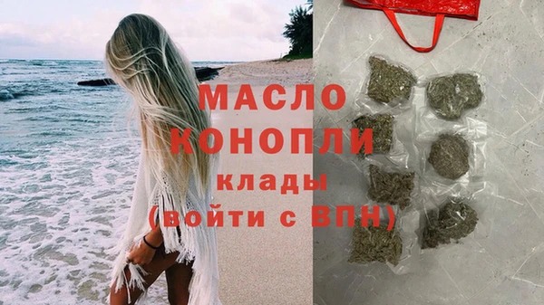 гидра Каменка