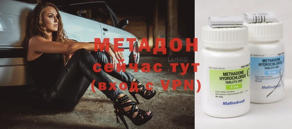 гидра Каменка