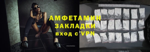 гидра Каменка
