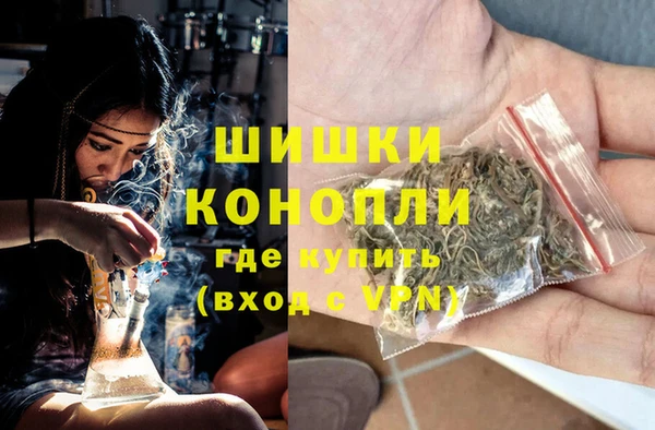 гидра Каменка