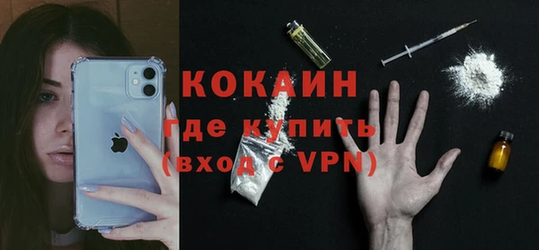 гидра Каменка