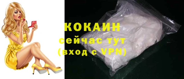 гашик Каменногорск