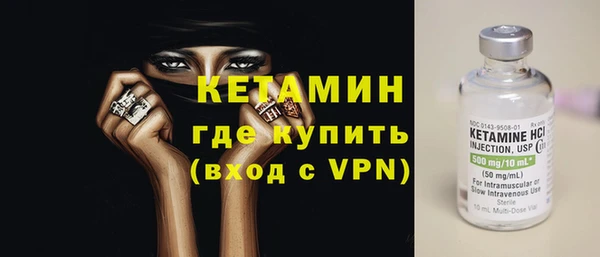 гидра Каменка