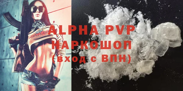 гидра Каменка