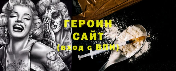 гидра Каменка