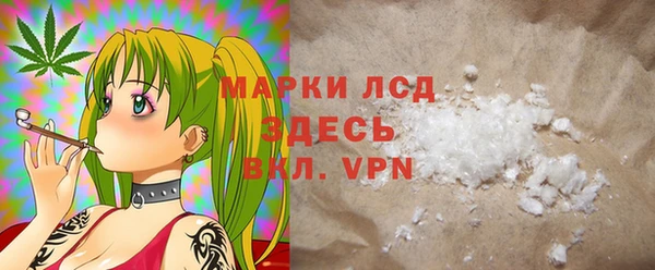 гидра Каменка