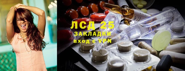 гидра Каменка