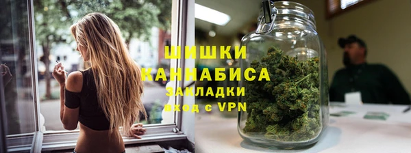 гидра Каменка